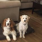 Debbie Schick - @debbieschick55 - Instagram