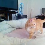 Debbie Slaughter Schiller - @debbie.schiller.75 - Instagram