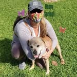 Debbie Stephis Schillinger - @debb.ieschillinger - Instagram