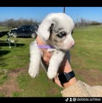 Debbie Schlee - Facebook