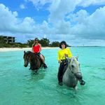 Debbie Schlichte - @debbie_schlichte - Instagram