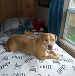 Debbie Schofield - Facebook