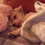 Debbie Scholl - @scholl.deb - Instagram