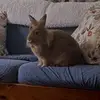 Debbie Schuster - @debbie.schuster5 - TikTok