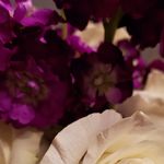 Debbie Schwartz - @debbie.schwartz.1238 - Instagram