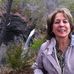 Debbie Mansur Seals - Facebook