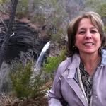 Debbie Mansur Seals - @debbiemansurseals - Instagram