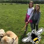 Debbie Seals - @debsealsuk - Instagram