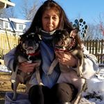 Debbie Sellars - @dsellars3 - Instagram
