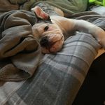 Debbie Sells - @dsells3 - Instagram