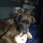 Debbie Sells - @dsells1962 - Instagram