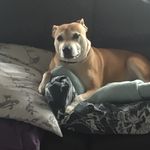 Debbie sells - @sells3308 - Instagram