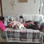 Debbie Sharp - @debbiesharp61 - Instagram