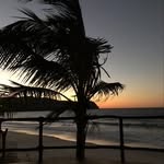 Debbie Sharp - @debbiesharp11 - Instagram