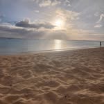 Debbie Sheets-Nelson - @sheetsnelson - Instagram