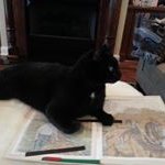 Debbie Shepard - @doodle1957 - Instagram