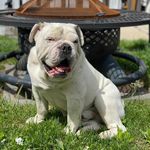 Debbie Shepard - @debbiepierce589 - Instagram