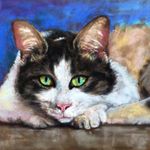 Debbie Sherrod - @debbie.sherrod.5 - Instagram