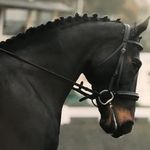 Debbie Shields - @debbie.shields.5070 - Instagram