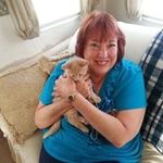 Debbie Shields - @shields5037 - Instagram