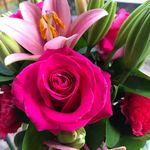 Debbie Shields - @debbieshields777 - Instagram