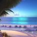 Debbie Shipley - Facebook
