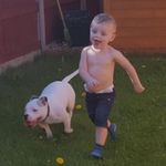 Debbie Shipley - @debbie.shipley.790 - Instagram