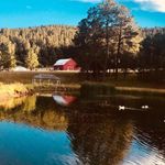 Debbie Shipley - @stevedebbie.shipley - Instagram