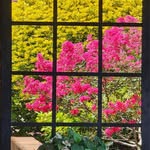 Debbie Shipton - @debbieshipton - Instagram