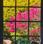 Debbie Shipton - Facebook