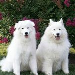 Debbie Shoemaker - @debbie.shoemaker - Instagram