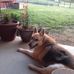 Debbie Shoemaker - Facebook