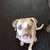 Debra Elizabeth Shoemaker - Facebook