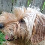 Debbie Shook Farrell - @farrell9971 - Instagram