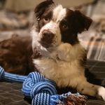 Debbie Shook Varrati - @dvarrati - Instagram