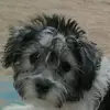 debbiesimmonds8 - @debbiesimmonds8 - TikTok