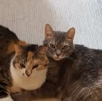 Debbie Simonson - Facebook