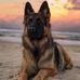 Debra Simonton - Facebook