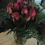 Debbie Singer - @singer53 - Instagram