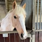 Debbie Singer - @debbie.singer._050918 - Instagram