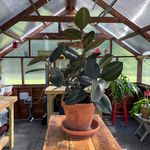 Debbie Griffin Sisk - @debbiegriffinsisk - Instagram