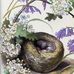Debbie Sisk - Facebook