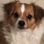 Debbie Toth Slusher - @dslusher052753 - Instagram