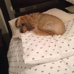 Debbie Smart - @debbiesmart982 - Instagram
