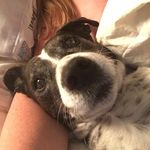 Debbie Smart - @debbies554 - Instagram