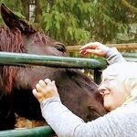 Debbie Sommer - @debpaws - Instagram