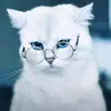 Debbie_speaks - @debbie_speaks - TikTok