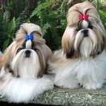 Debbie Speaks - @speaksdebbie - Instagram