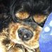 Debby Speaks - Facebook