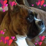 Debbie Speed - @dsspeed101 - Instagram
